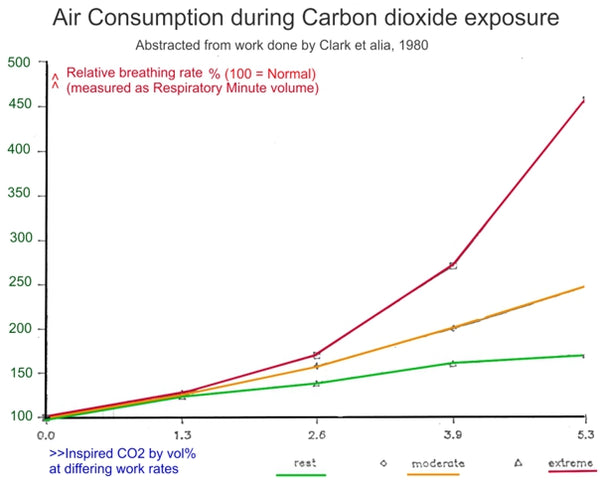 Respiratory Protection (RPD) inspection and record (100 sheet pad)
