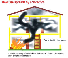 Ear Defenders, Expert, Folding, SNR 33dB